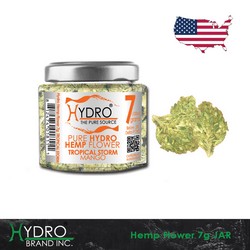 Hydro HEMP Flower 7g Pack TROPICAL STORM (Mango)